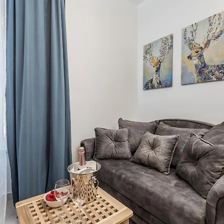 Srnec - Centar Apartamento