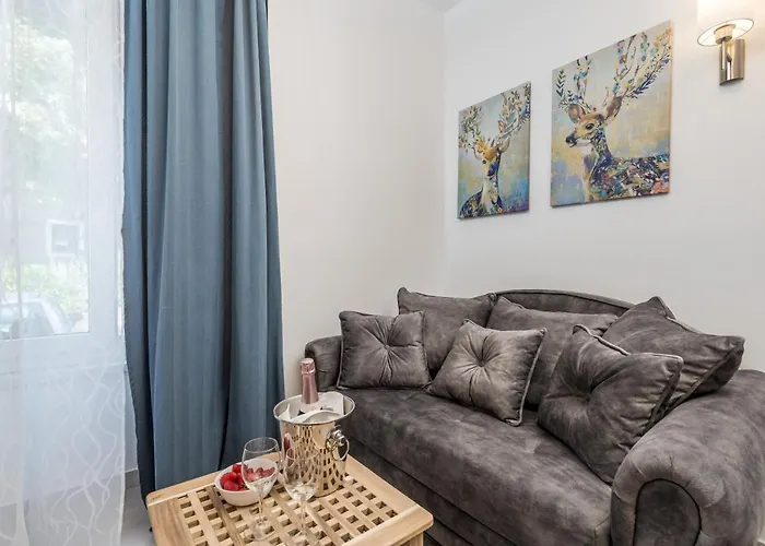 Srnec - Centar Apartment