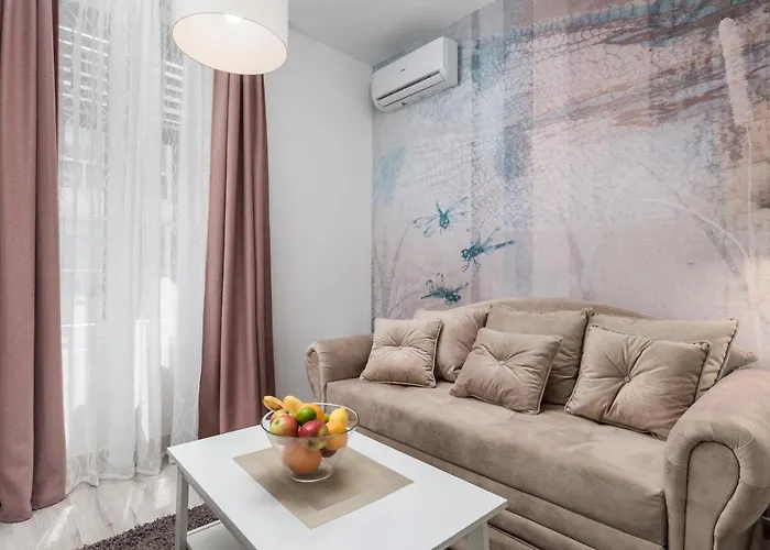 Srnec - Centar Apartment *