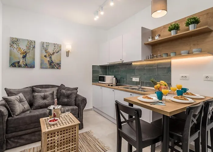 Srnec - Centar * Rijeka