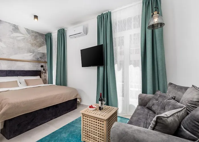 Srnec - Centar Rijeka